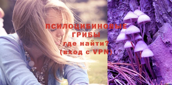 СК Протвино