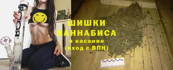 гидропоника Белокуриха